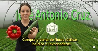 Finca rústica en Carretera de almerimar s/n. Venta de invernadero cerca de la carretera de almerimar.