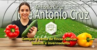 Landgut in Calle la fábrica 8. Venta de invernadero en san isidro de 27 hectareas