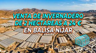 Landgut in N/a. Venta de invernadero en balisa de 2 hectareas.
