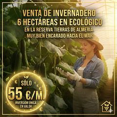 Landgut in Paraje la cumbre 35. Venta de invernadero nuevo en tierras de almeria .