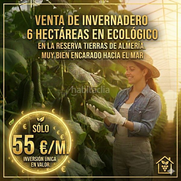Foto 020f90f6-6096-440e-9b1f-da62038eb21e. Finca rústica a paraje la cumbre 35 a Almerimar Ejido (El)