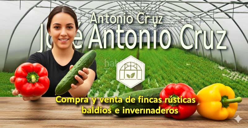 Foto 2c6ea628-2919-4f4e-a2a6-1fac9e6d7f76. Finca rústica a calle santa teresa 8 a Mojonera (La)