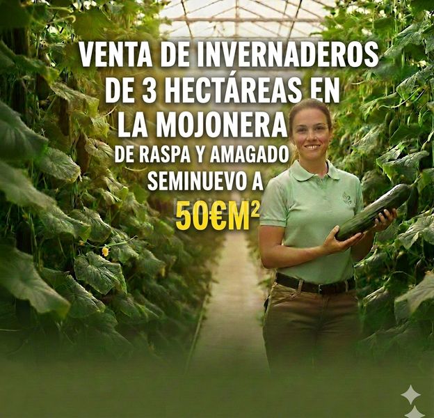 Foto 8fbbf89b-b1a9-4701-88b8-ce8be565ed33. Finca rústica a calle santa teresa 8 a Mojonera (La)