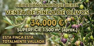 Landgut  Calle engarpe. Venta de huerto en berja  en san roque de 1500m aproxidamente.