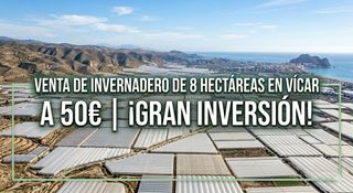 Fondo rustico in Calle baja estación 9. Venta de invernadero de 8 hectáreas vicar .