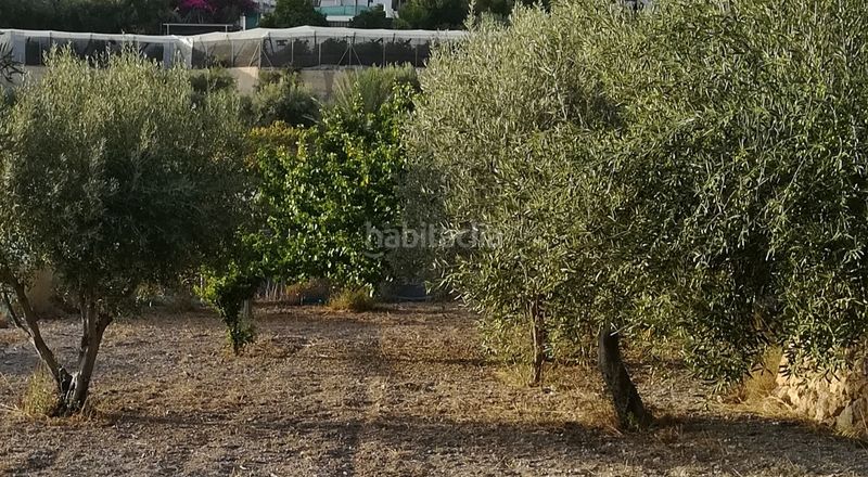 Foto 77fc1763-2602-4a58-989a-3acbd08853c9. Finca rústica a calle engarpe 46d a Berja