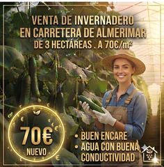 Rural plot in Carretera de almerimar 12. Venta de invenadero de 3 hectareas en carretera de almerimar.
