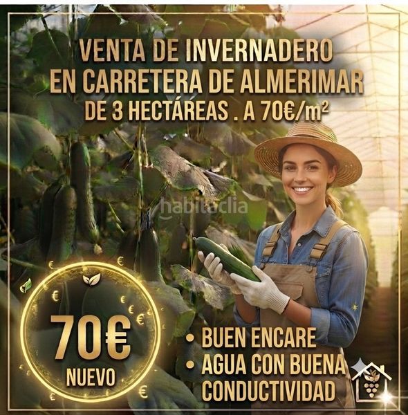 Foto f7d4d57c-8dc8-4f4a-b260-31afafb0dc6c. Finca rústica a carretera de Almerimar 12 a Almerimar Ejido (El)