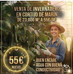 Finca rústica a Avenida Cortijos de Marín 9