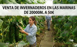 Finca rústica a Avenida de las Marinas 224