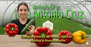Finca rústica a Avenida de las Marinas 224