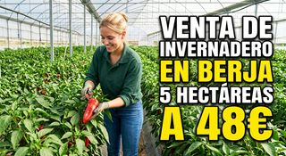 Fondo rustico in Calle engarpe 46d. Venta de invernadero de 5 hectareas en berja .