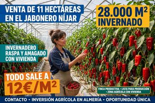 Rural plot in Callejón de la semilla 3. Venta de 11 hectareas ,de las cuales hay 28000m invernadas.a 12