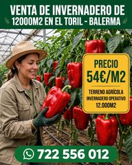 Landgut in Calle góngora 14. Venta de invernadero de 12000m.en balerma.