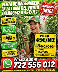Fondo rustico in Calle margarita 7. Venta de invernadero de 68000m en la loma del viento ejido.