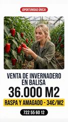 Rural plot in N/a. Venta de invernadero en balisa nijar de 36000m