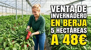 Propriété à Calle engarpe 46d. Venta de invernadero en berja  de 47000m .