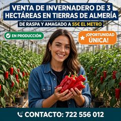 Propriété à Paraje la cumbre 35. Venta de invernadero de 3 hectáreas en tierras de almería.