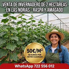 Finca rústica a Calle Jara
