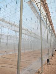 Finca rústica en Los Nietos. Venta de invernadero en el cautivo nijar