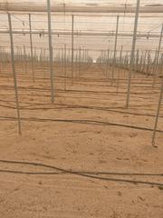 Finca rústica a Roquetas pueblo. Venta de invernadero nuevo  en roquetas de mar.