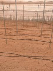 Finca rústica a Roquetas pueblo. Venta de invernadero nuevo  en roquetas de mar .