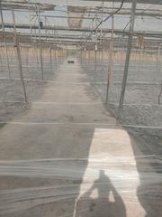 Finca rústica a Berja. Venta de invernadero en berja de 8 hectáreas.