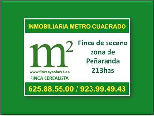 Finca rústica a Calle iglesia 31t. Inmobiliaria metro cuadrado , www.fincasysolares.com única web e