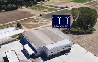 Rent Industrial building in Rollo - Puente Ladrillo