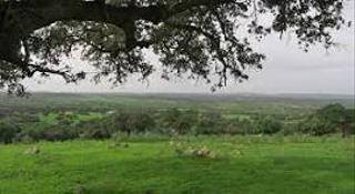 Finca rústica a Sancti - Spíritus