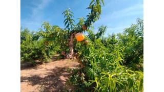 Residential Plot in N/a
