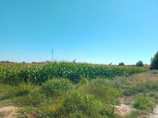 Terreno residencial en Gimialcón