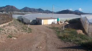Rural plot in Diputacion pastrana 4