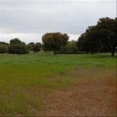 Rural plot in Topas