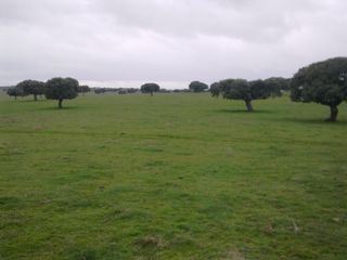 Fondo rustico in Camino a puebla de azaba 35