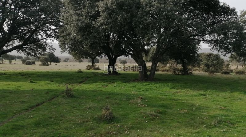 Foto 329d972a-9f09-4bd9-88d7-97798d69850e. Finca rústica en Robleda