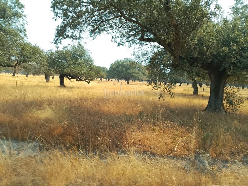 Foto 5d1a7b40-fb69-448e-a110-595bdef82370. Finca rústica en Robleda