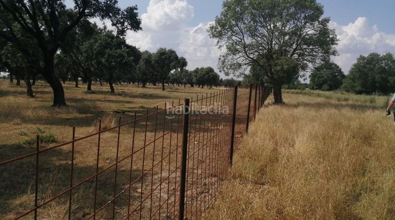 Foto 6fd7a662-441c-4e4c-a2bf-984e7375376d. Finca rústica en Robleda
