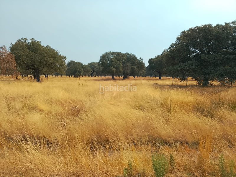 Foto b2425136-9bd5-4791-8617-5492149204f4. Finca rústica en Robleda