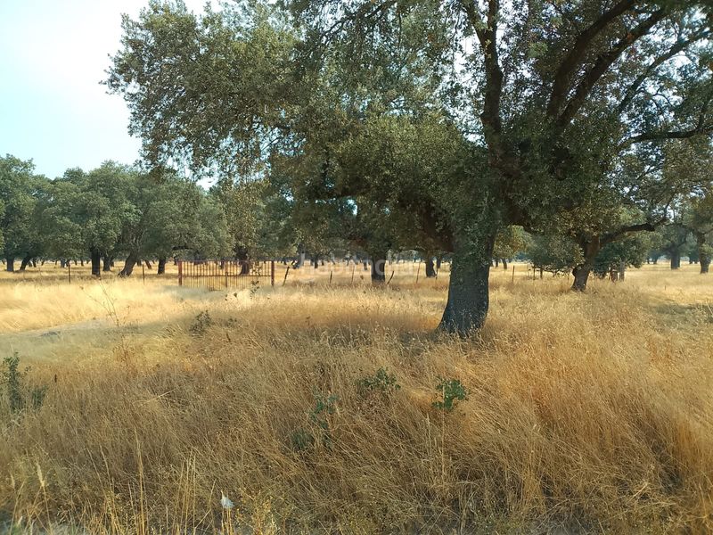 Foto b33d080b-a90b-4266-9146-0e67bf2f21c3. Finca rústica en Robleda