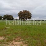 Foto 04e2a826-7fdd-45dc-bae1-f5b4f68fe9a4. Finca rústica a Topas