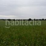 Foto 0777bc3e-ae8e-4ed0-9549-cb7ac7f14882. Finca rústica a Topas