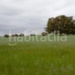 Foto 16c20fbf-bf90-4702-8715-d5b2058a58d3. Finca rústica a Topas