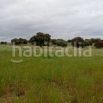 Foto 399a5e78-92cb-45fe-97a4-049ad7c58e04. Finca rústica a Topas