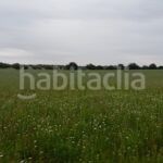 Foto 4665bbd6-7272-44a6-9e4e-954b9a1111fa. Finca rústica a Topas
