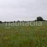 Foto 58ee66cd-45c6-4c50-b35b-575bb9731560. Finca rústica a Topas