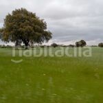 Foto 5c2305a0-9ef6-4649-86c2-e3f7e2698cf5. Finca rústica a Topas