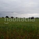 Foto 6c20a4e2-daa5-486f-8945-525a799af48c. Finca rústica a Topas