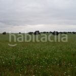 Foto 76ed0400-fbb3-4bf2-b3a0-874b14c3a6e3. Finca rústica a Topas