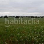 Foto 7c117dcc-e432-413c-b9f7-e5dd6b582731. Finca rústica a Topas